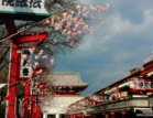 Tokio Putovanja 2022 Japan | Tokio putovanja, turizam  #01