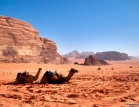Wadi Rum #01