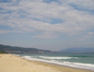 Picture #01